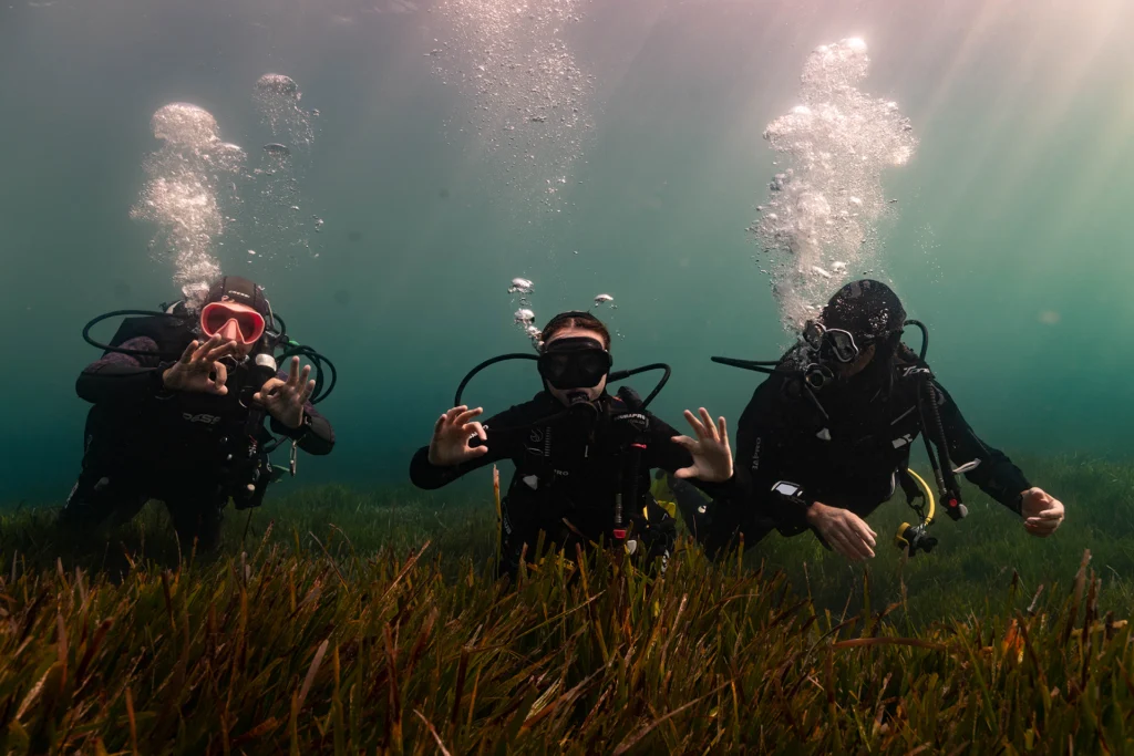 Plonger dans l'inclusion_Fondation Mission Santé