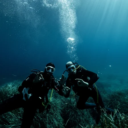 Deux plongeurs sous l'eau